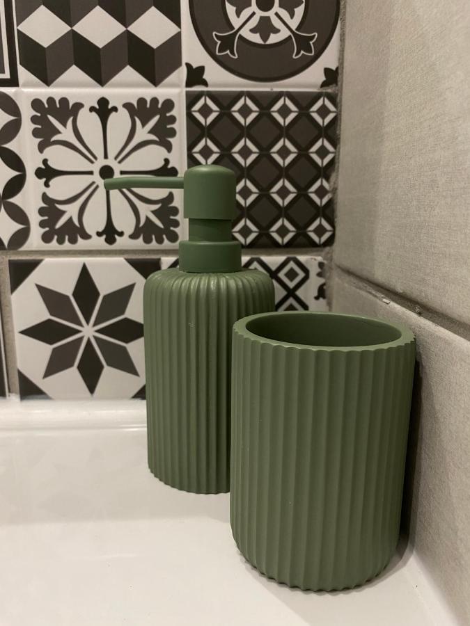 Le Cosy, Appartement Chaleureux 2 Chambres La Talaudiere Exteriér fotografie