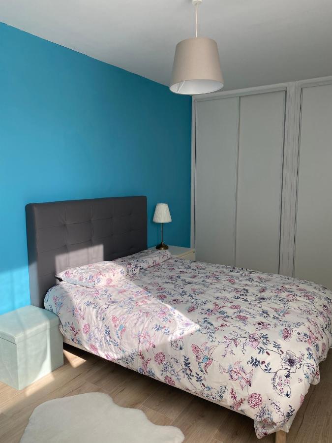 Le Cosy, Appartement Chaleureux 2 Chambres La Talaudiere Exteriér fotografie